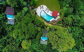 Bali Jungle Camping