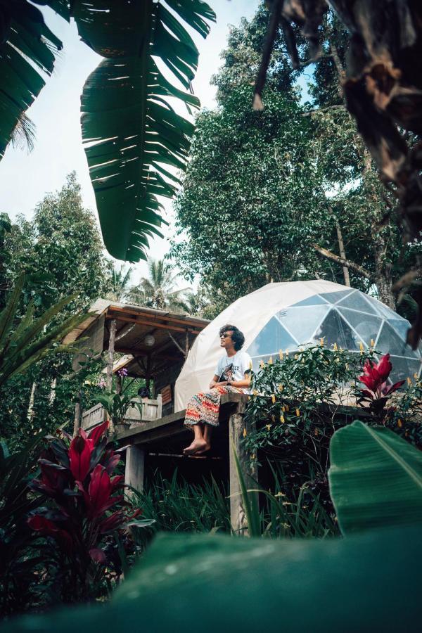 Bali Jungle Camping Selemadeg Esterno foto