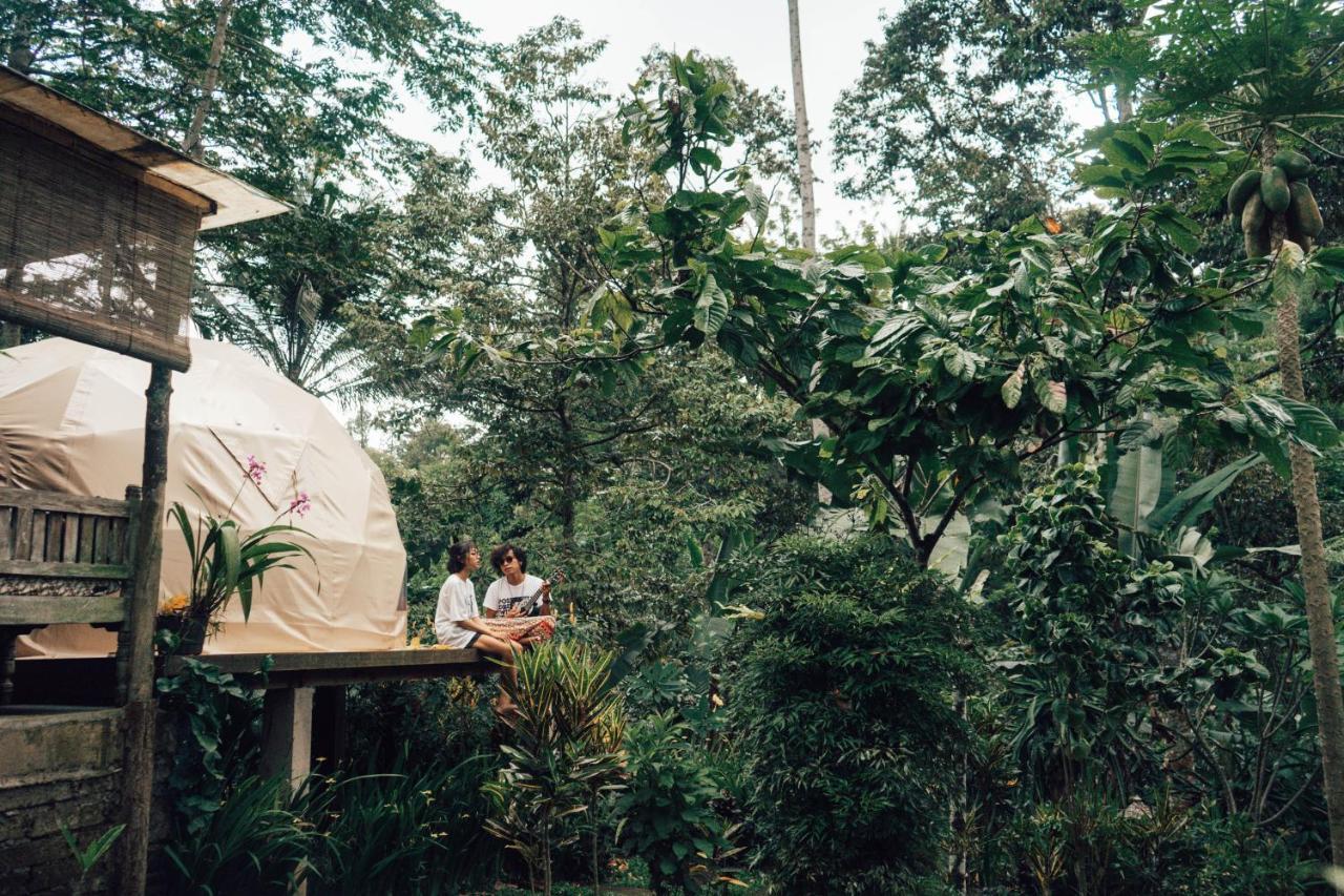 Bali Jungle Camping Selemadeg Esterno foto