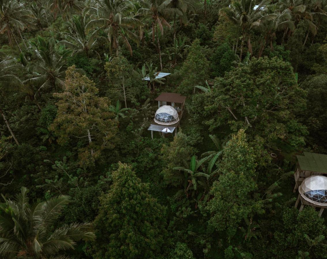Bali Jungle Camping Selemadeg Esterno foto
