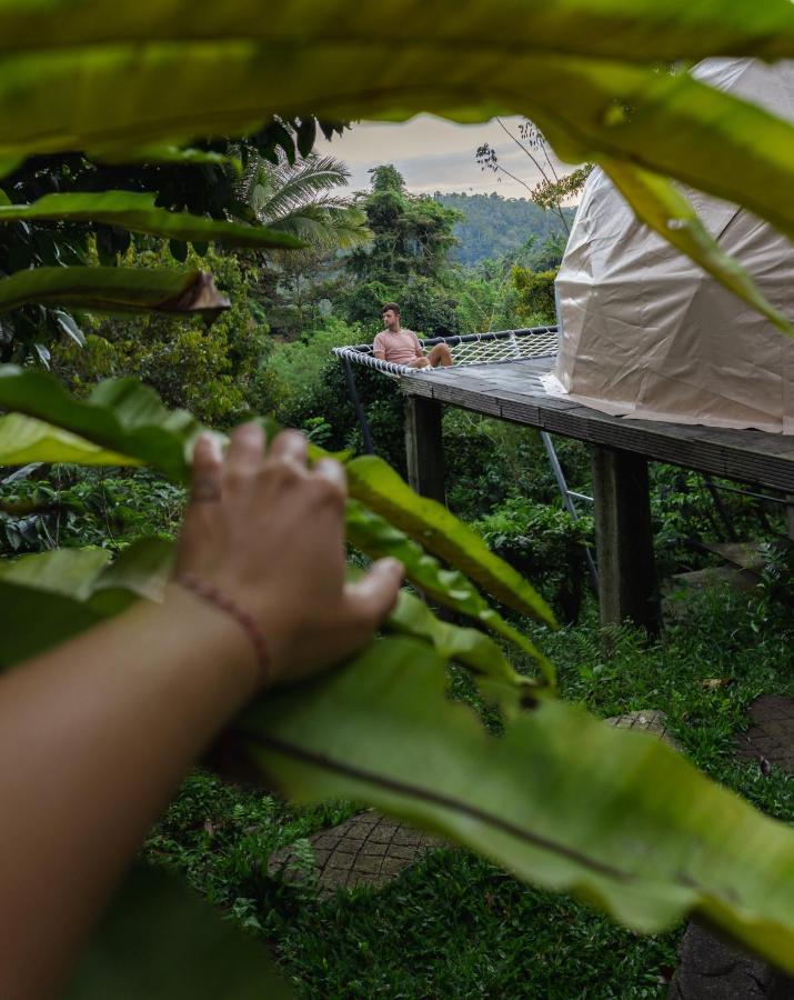 Bali Jungle Camping Selemadeg Esterno foto