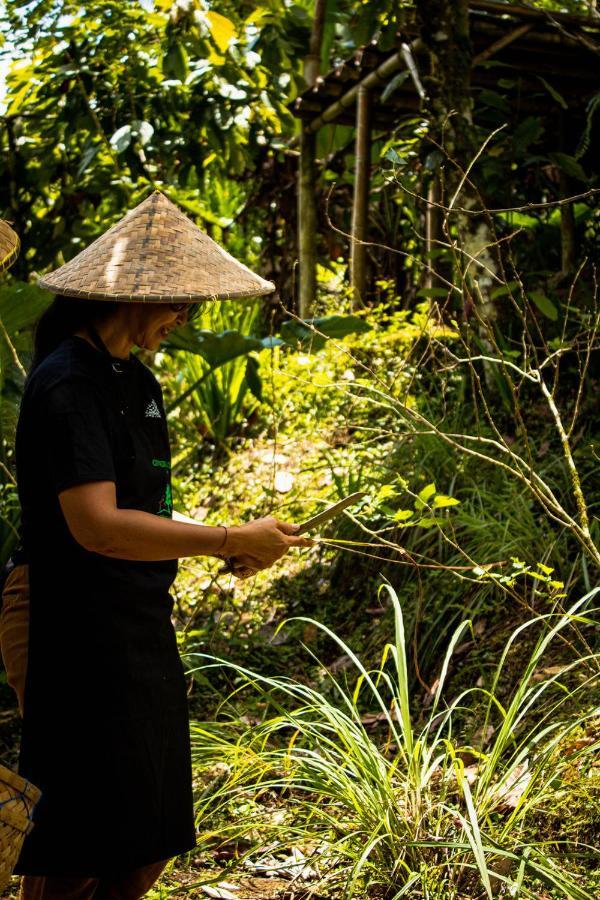 Bali Jungle Camping Selemadeg Esterno foto