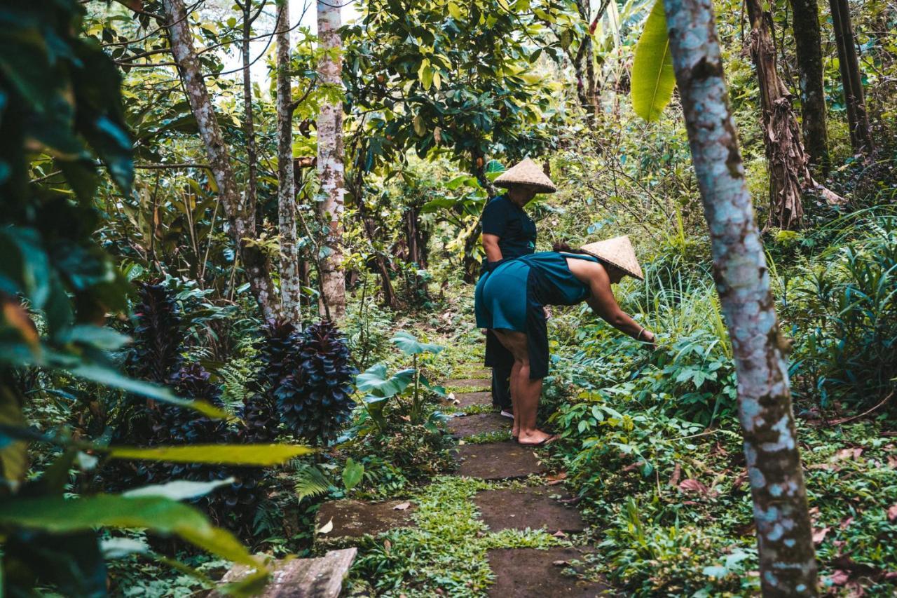 Bali Jungle Camping Selemadeg Esterno foto