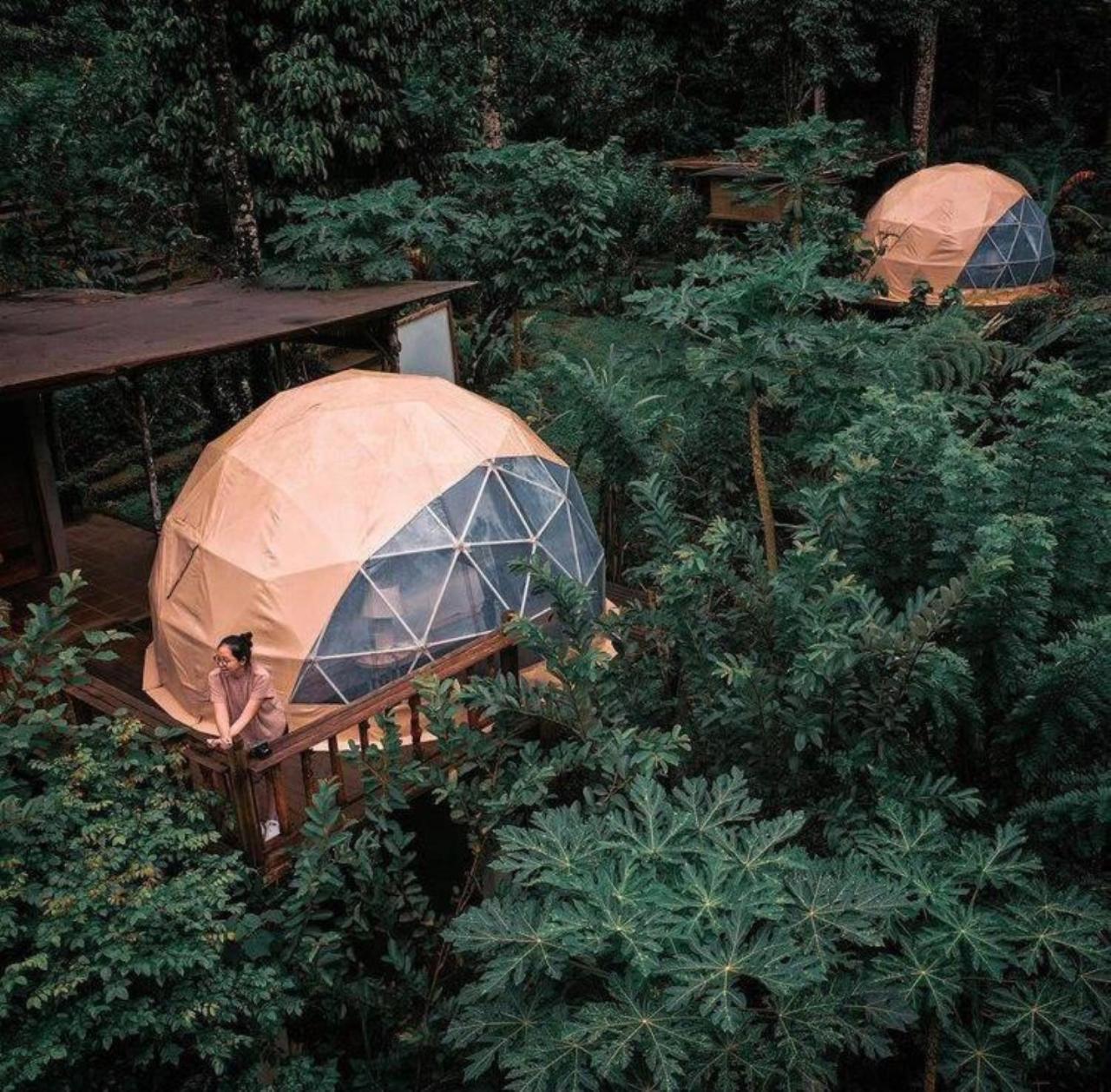 Bali Jungle Camping Selemadeg Esterno foto